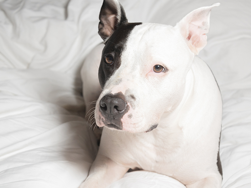 Un hogar está completo cuando todos tienen su lugar